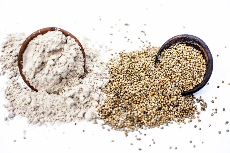 Pearl Millet (Bajra)