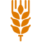 Finger Millet
