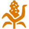 Sorghums